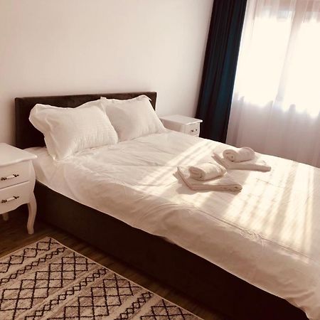 Narcisa Apartment Piatra Neamţ Exterior foto