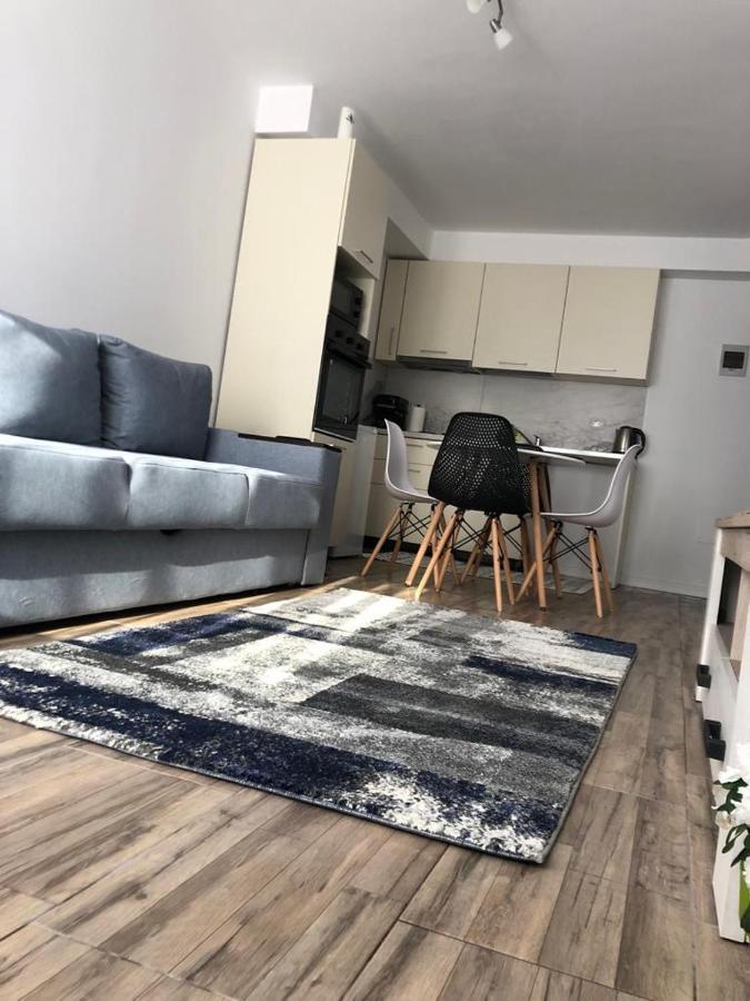 Narcisa Apartment Piatra Neamţ Exterior foto