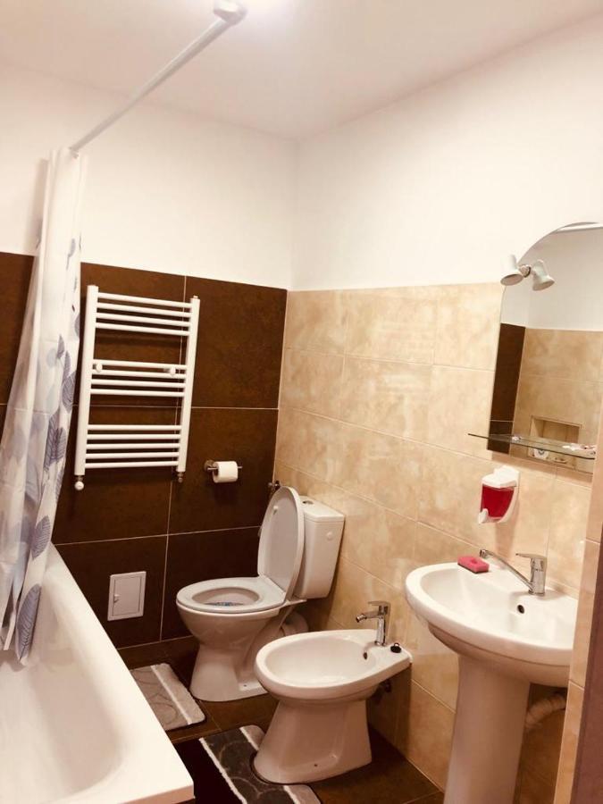 Narcisa Apartment Piatra Neamţ Exterior foto